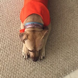 Meet your Posher, Jamie